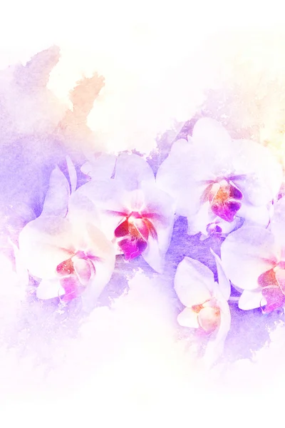 çiçek suluboya resim.