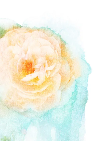 Flower watercolor illustration. — Stock Photo, Image