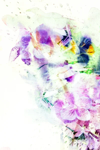 Illustration aquarelle fleur . — Photo