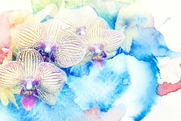 花水彩イラスト. — ストック写真