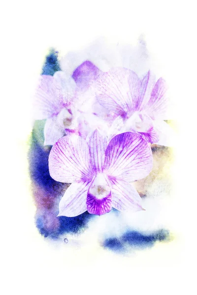 Flower watercolor illustration. — Stock Photo, Image