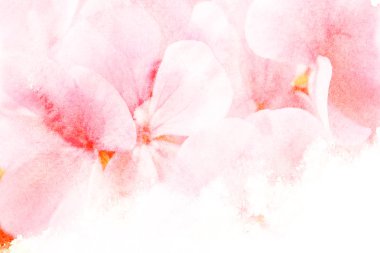 çiçek suluboya resim.