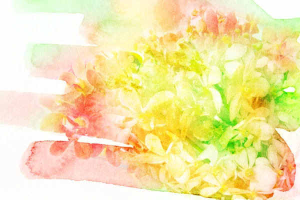 Illustration aquarelle fleur . — Photo