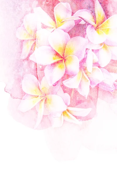 Blomst akvarel illustration . - Stock-foto