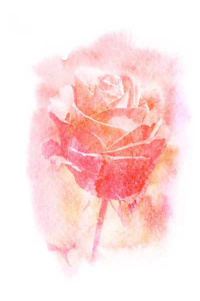 Blume Aquarell Illustration. — Stockfoto