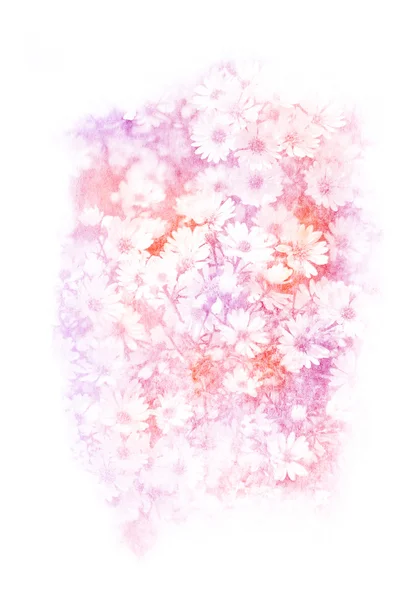 Ακουαρέλα εικονογράφηση λουλούδι. — Φωτογραφία Αρχείου