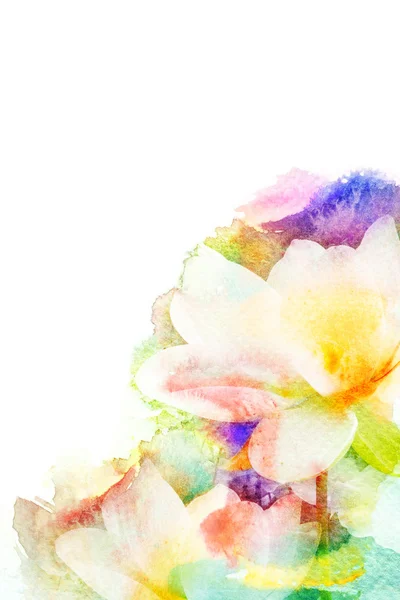 Flower watercolor illustration. — Stock Photo, Image