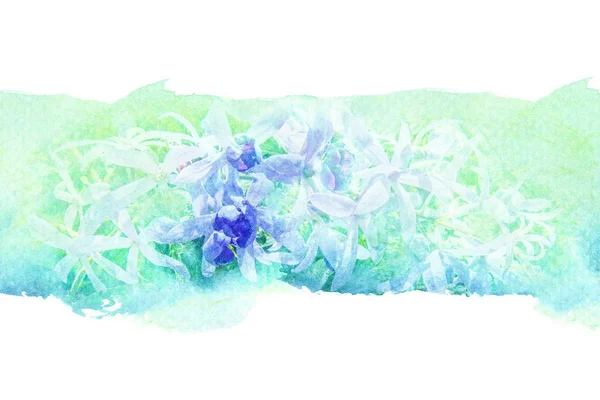 Flower watercolor illustration. — Stock Photo, Image