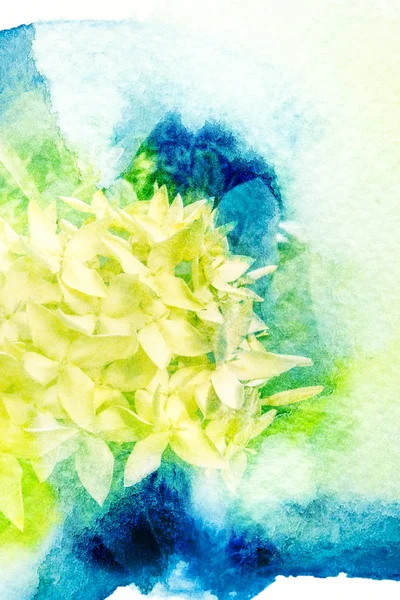 Illustration aquarelle fleur . — Photo