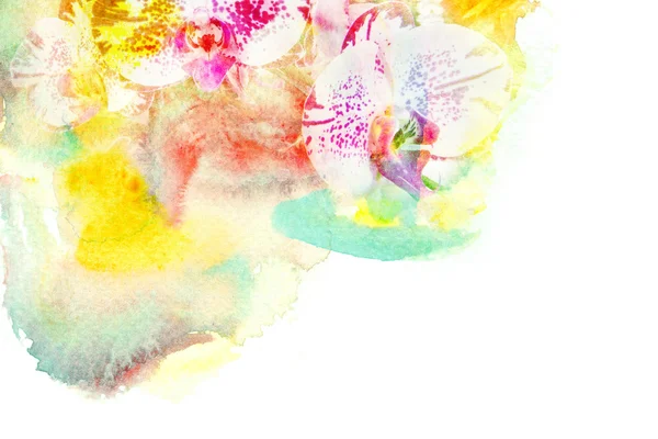 Flower watercolor illustration. — Stock Photo, Image