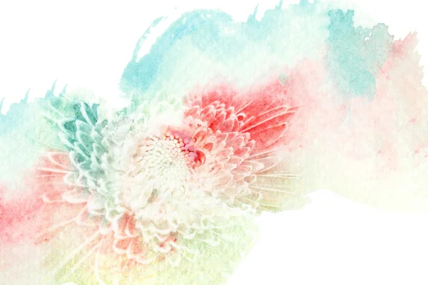 Flower watercolor illustration. — Stock Photo, Image