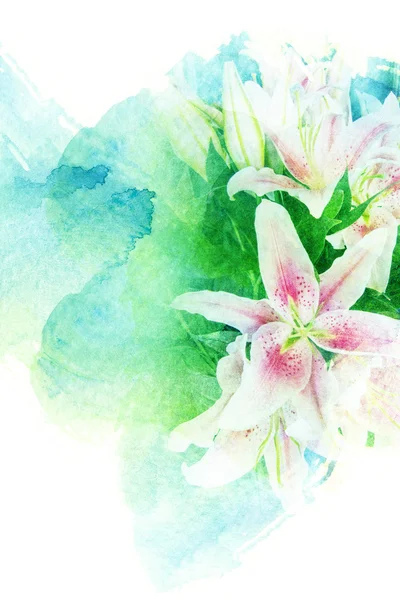 Flower watercolor illustration. — Stock Photo, Image