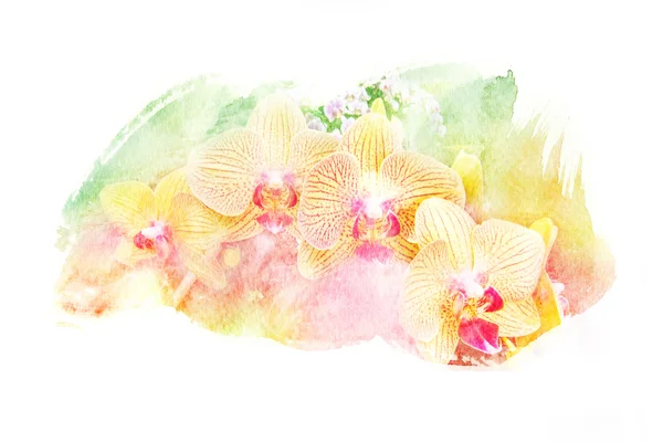 Blume Aquarell Illustration. — Stockfoto