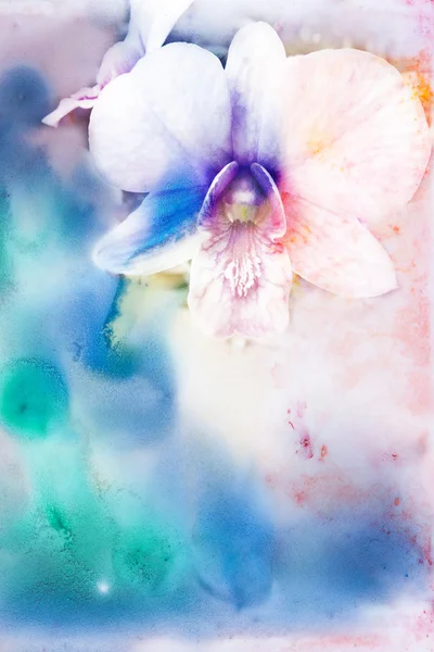 çiçek suluboya resim.