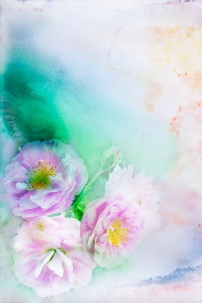 Flower watercolor illustration. — Stock Photo, Image