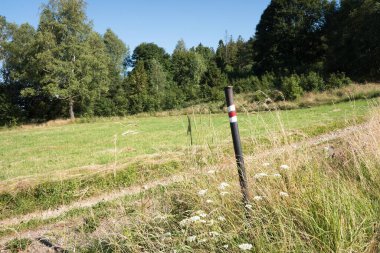 Çek Cumhuriyeti 'nde bir ormandaki çit direğinde turist izleri var. Kırmızı ve beyaz renk.