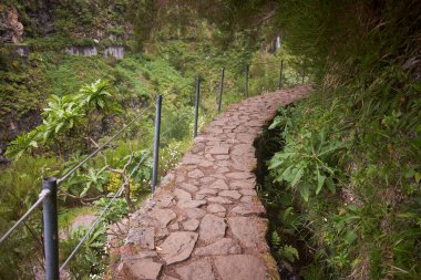 Levada Kanalı 'nın yanındaki patika 25 Fontes Yolu, Madeira Adası, Portekiz.