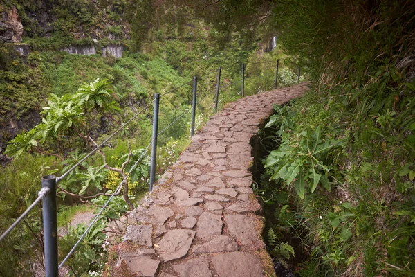 Trail path next to levada canal at Levada das 25 Fontes trail, Madeira island, Portugal.