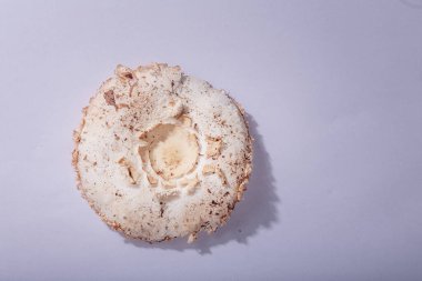 Büyük mantar şapkası, beyaz kağıt üzerinde orman şampiyonu kazığı. Mantar, mevsimlik organik yiyecekler, lezzetli malzemeler. Üst görünüm, kapatma, kopyalama alanı