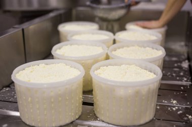 Özel bir peynir fabrikasının ekipmanları ve hazırlık ve üretim aşamaları