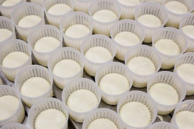 Özel bir peynir fabrikasının ekipmanları ve hazırlık ve üretim aşamaları