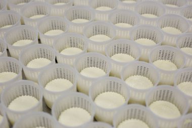 Özel bir peynir fabrikasının ekipmanları ve hazırlık ve üretim aşamaları