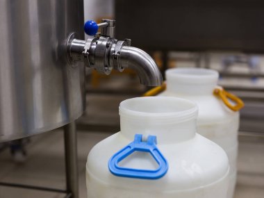 Özel bir peynir fabrikasının ekipmanları ve hazırlık ve üretim aşamaları