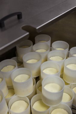 Özel bir peynir fabrikasının ekipmanları ve hazırlık ve üretim aşamaları