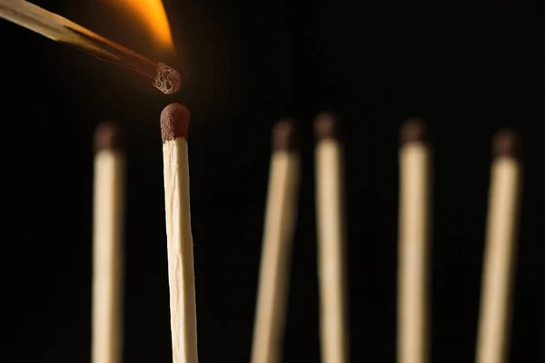 Wooden Lighted Matches Standing Black Background — Stock Photo, Image