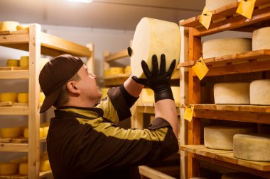 Üretimdeki özel bir peynir fabrikasının çalışanları