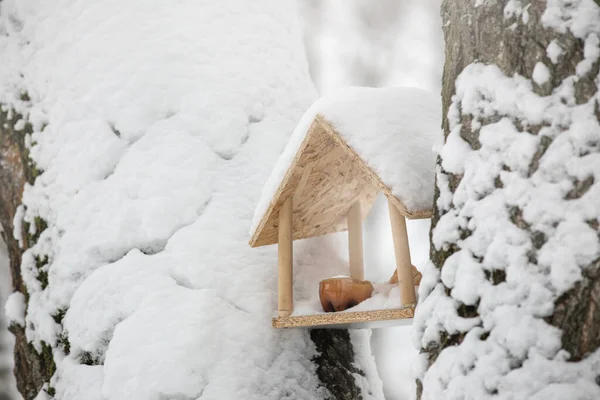 Alimentador Casero Madera Del Pájaro Invierno Fijado Entre Los Troncos — Foto de Stock