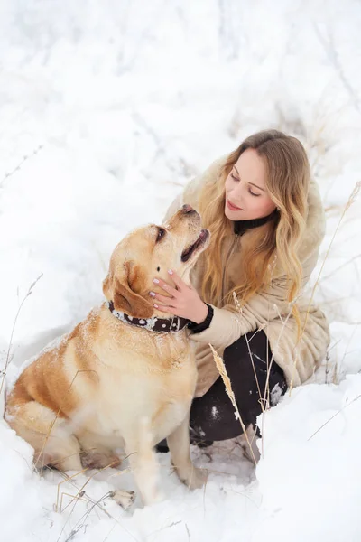 Grande Cão Labrador Gato Inverno Passeio Com Uma Jovem Mulher — Fotografia de Stock