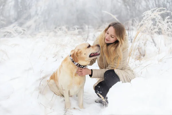 Grande Cão Labrador Gato Inverno Passeio Com Uma Jovem Mulher — Fotografia de Stock