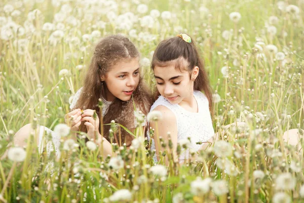 Bambina Passeggiata Campo Con Denti Leone Soleggiata Giornata Estiva — Foto Stock