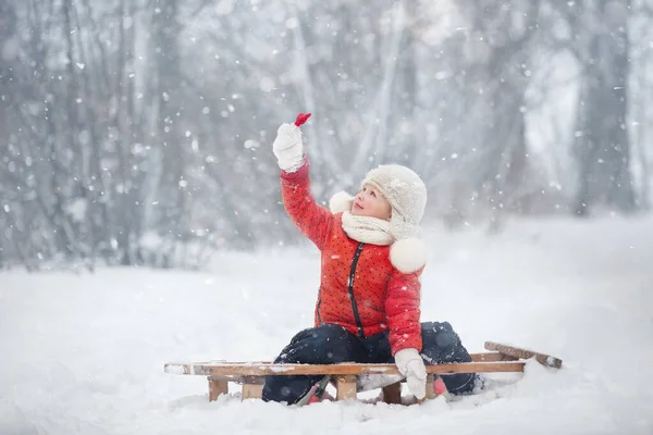Маленькая Девочка Оранжевой Куртке Шерстяной Шляпе Ходит Снегу Санями Леденцом — стоковое фото