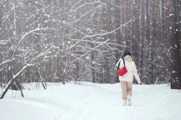 Beyaz ceketli ve kürklü bir kadın kış ormanında yürüyüşe çıkmış.
