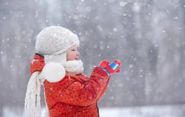 Ragazzo Sua Sorella Minore Passeggiano Nel Parco Una Giornata Invernale — Foto Stock