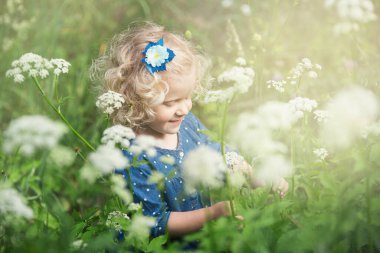 Kıvırcık sarı saçlı bir kız çayırda yürüyor, bir yaz günü.