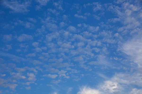 Céu Azul Com Nuvens Brancas Várias Formas Dia Ensolarado Textura — Fotografia de Stock