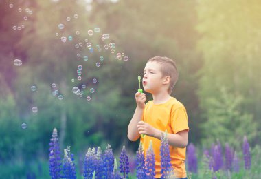 Sarı tişörtlü bir çocuk lupinli bir tarlada yürüyor, sabun köpüğü üflüyor, bir yaz akşamı.