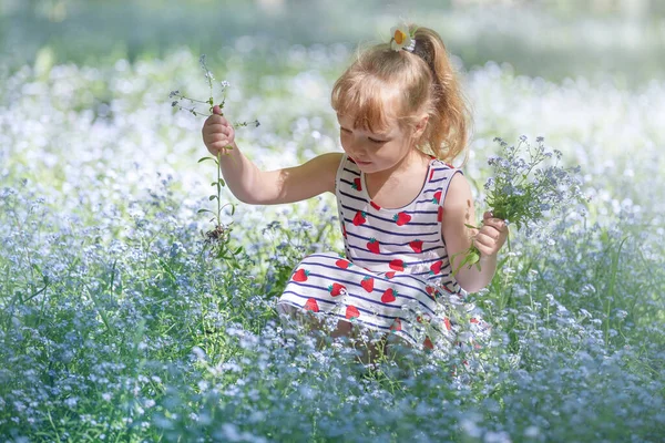 Gyerekek Parkban Egy Séta Gyűjteni Virágok Fedezze Fel Természet Nyári — Stock Fotó