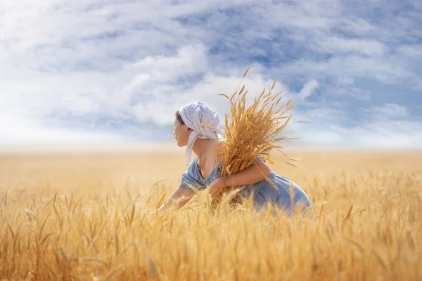 Mladá Žena Pšeničném Poli Ušima Dlaních Slunečné Letní Ráno — Stock fotografie
