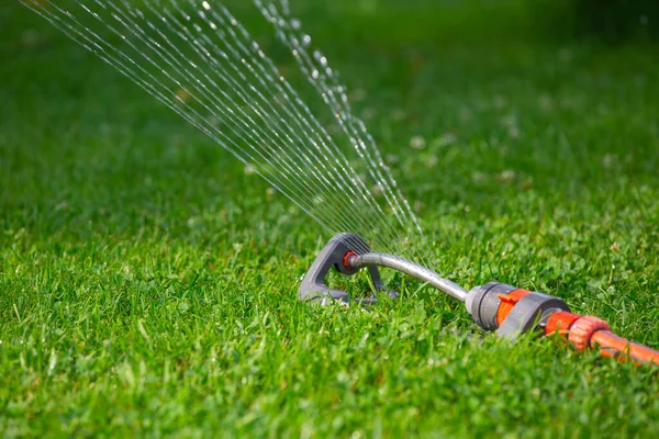 Installation Rain Irrigation Lawn Summer Day — Stock Photo, Image