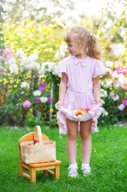 blonde girl collects fruit in a basket, summer day