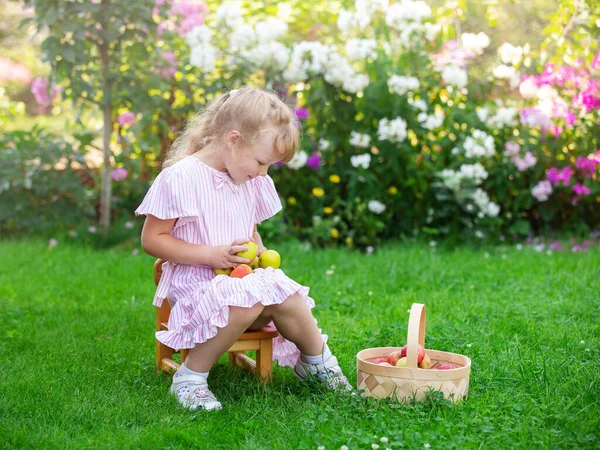 Blonde Girl Collects Fruit Basket Summer Day — Stock Fotó