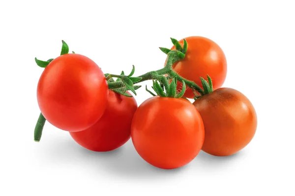 Tomates Rondes Rouges Sur Une Branche Isoler Sur Fond Blanc — Photo