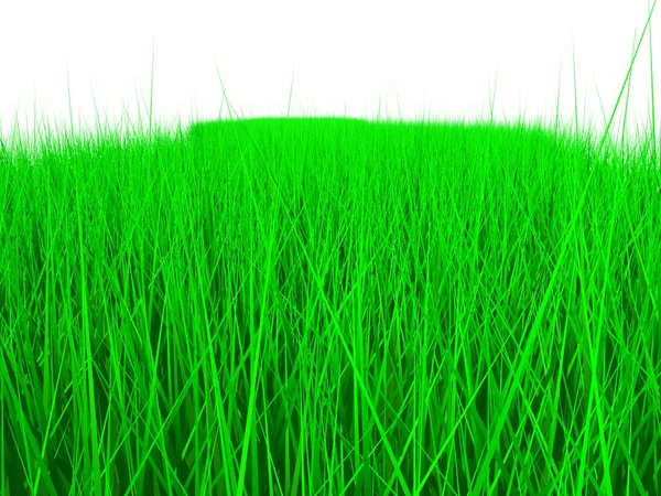 Gras — Stockfoto