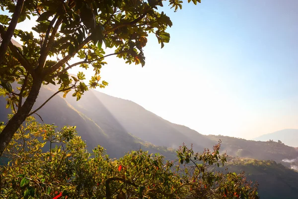 夕阳西下 灿烂的阳光 伴随着树木 群山和天空 复制空间 — 图库照片