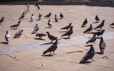 Bir adam Sucre, Bolivya 'da Recoleta Manastırı' nın etrafında dağlarla yürüyor. Sucre 1991 yılında Unesco Dünya Mirası ilan edildi..
