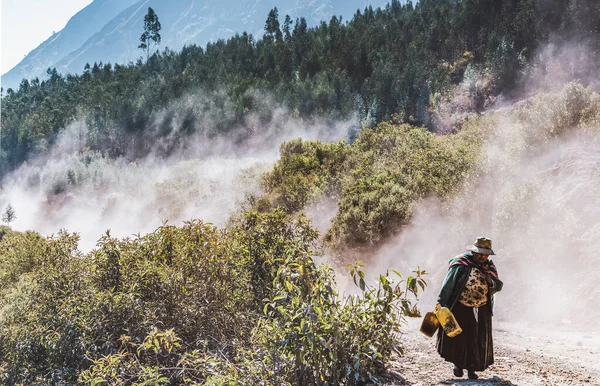 Quime Paz Bolívia Julho 2016 Mulher Boliviana Indígena Caminha Entre Imagens De Bancos De Imagens Sem Royalties